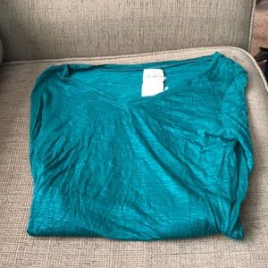 Sheer long sleeve tee.